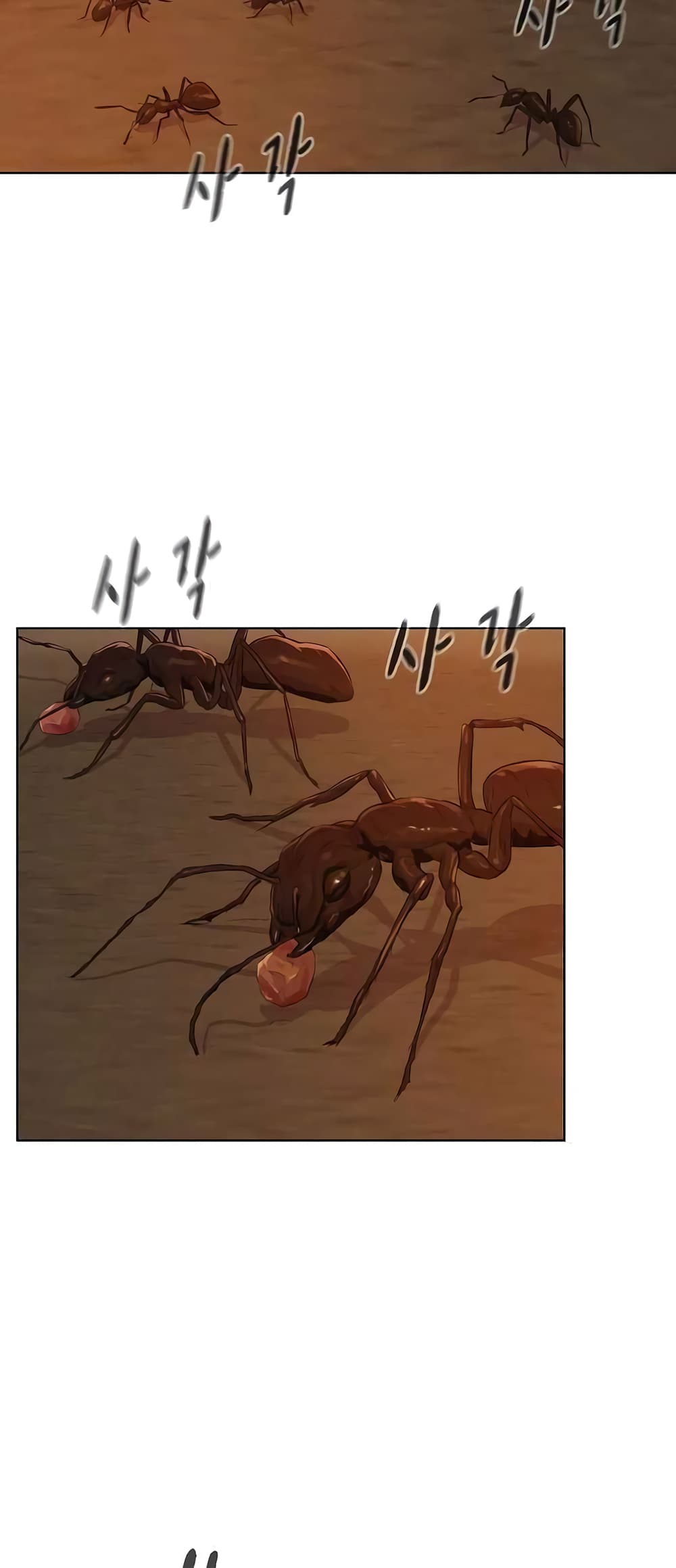 3CM Hunter page 46