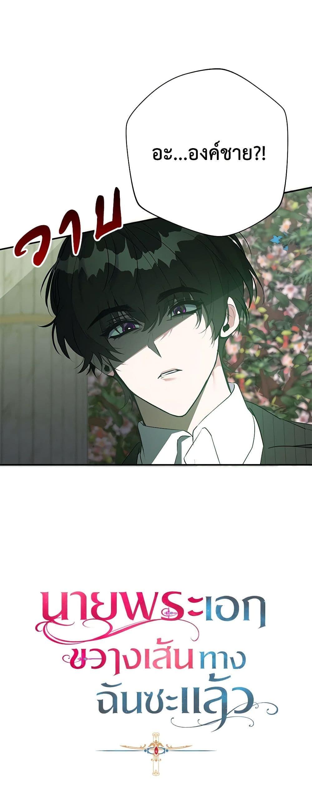 A Male Protagonist Is Blocking My Way page 25