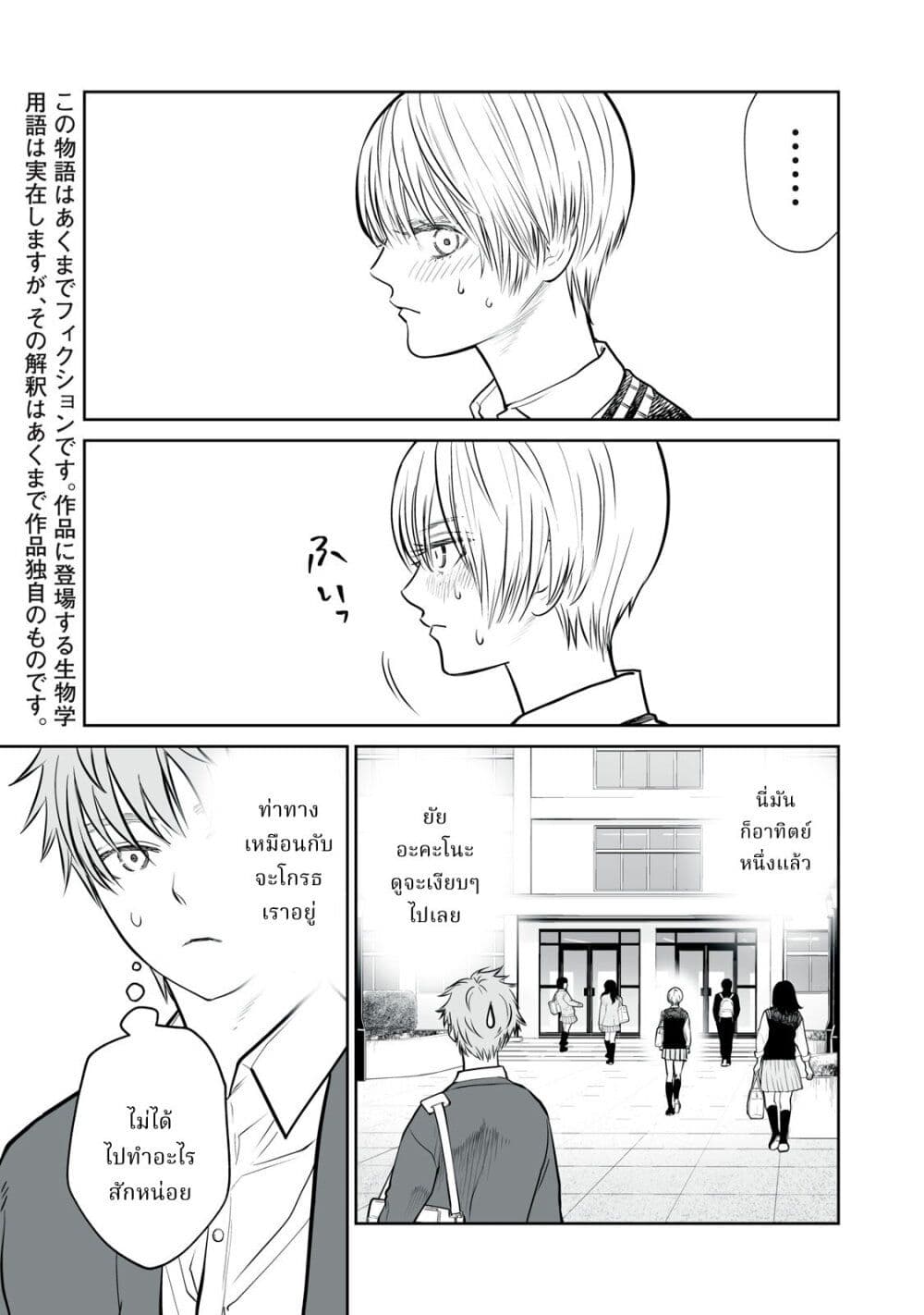 Akumade Kujaku no Hanashi desu. page 3