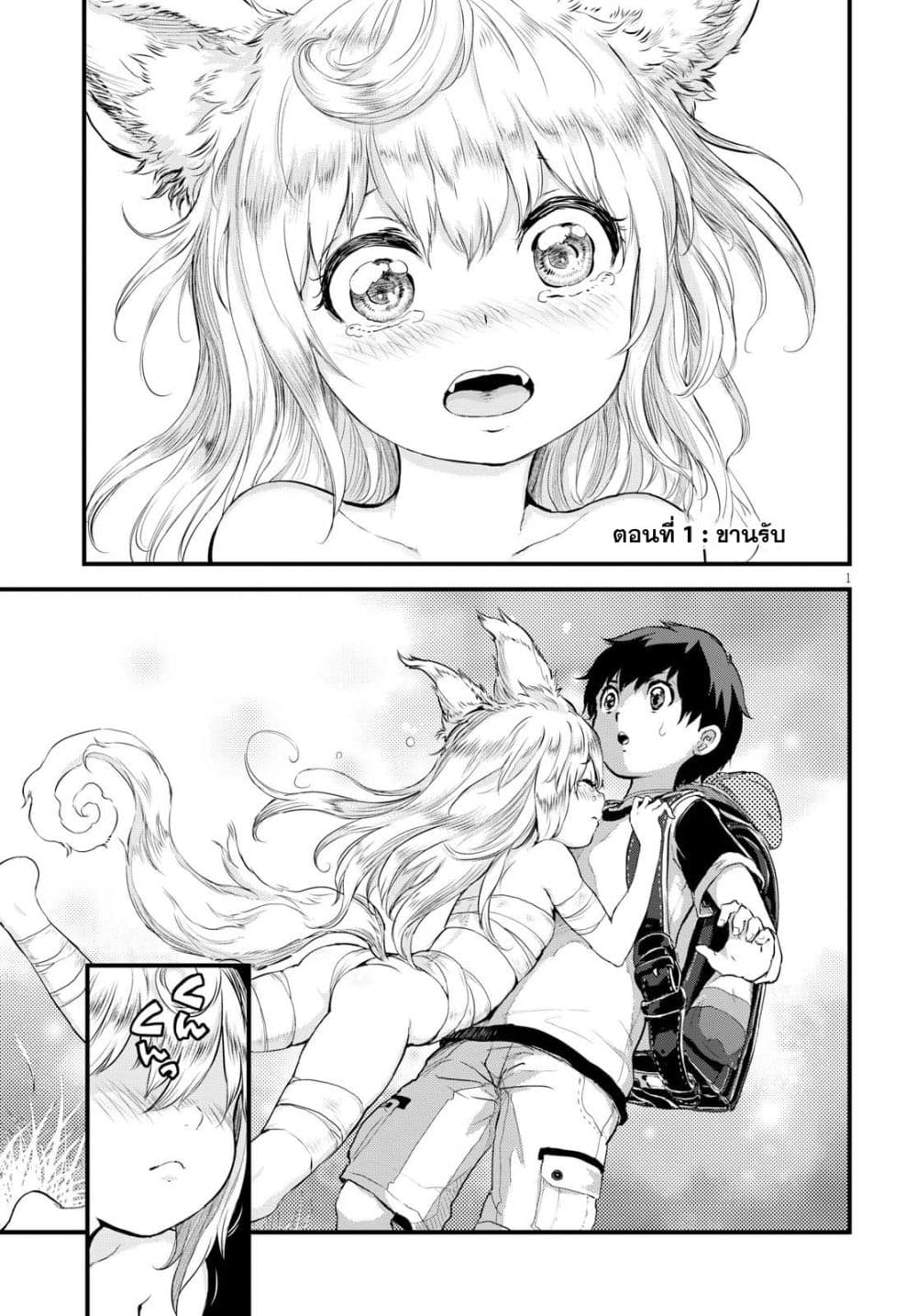 Alcafus page 4