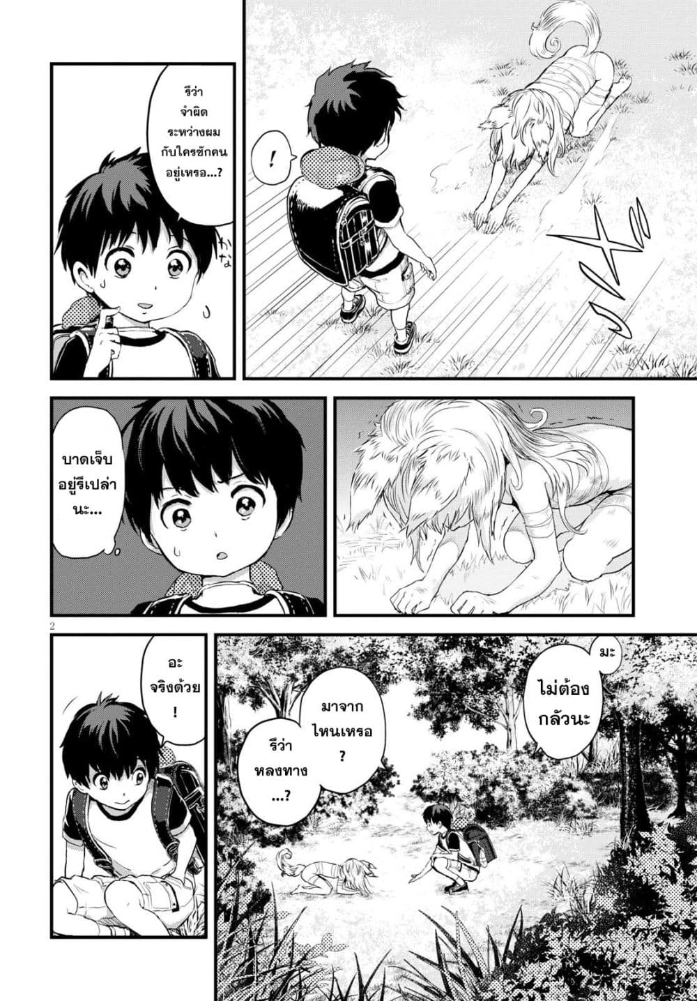 Alcafus page 5