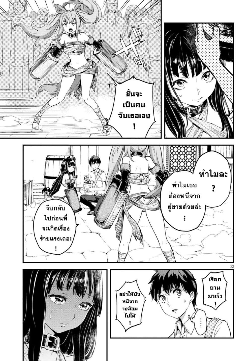 Alcafus page 33