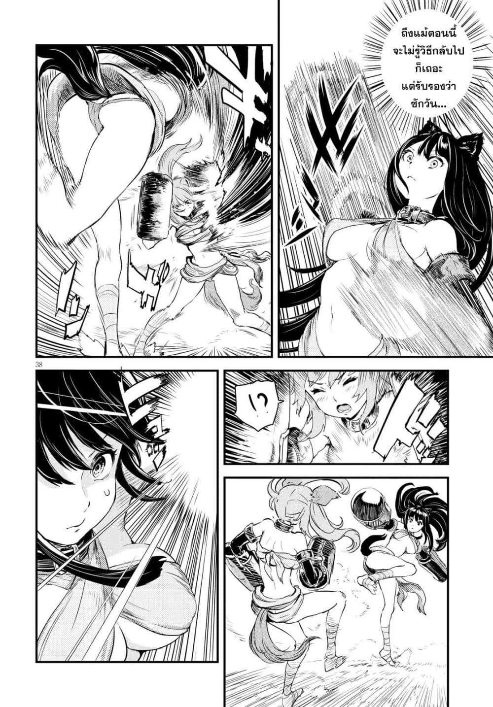 Alcafus page 37
