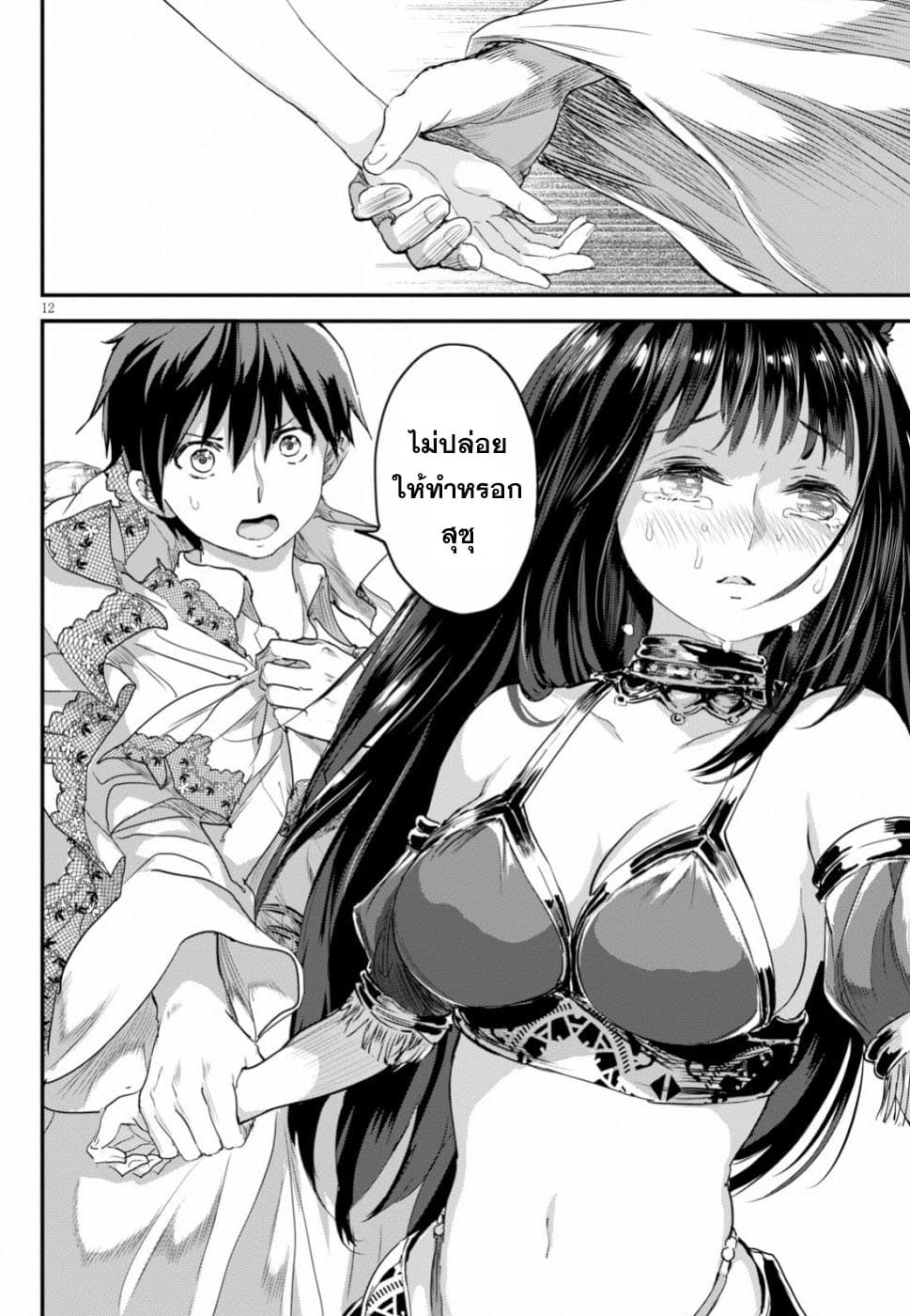 Alcafus page 13