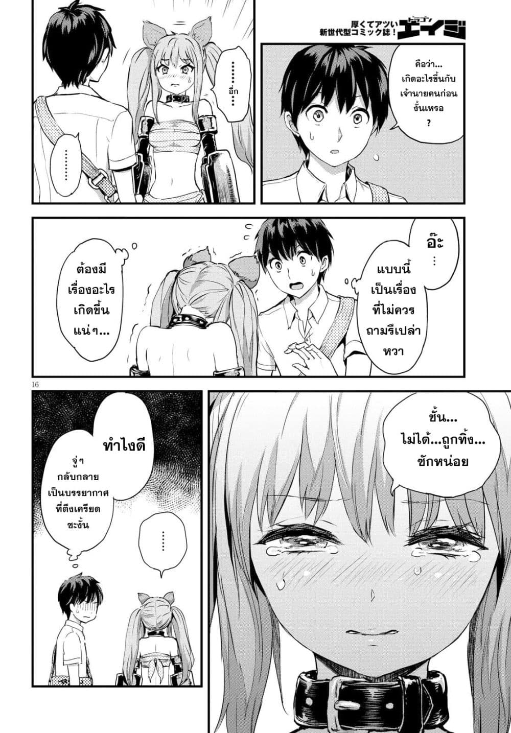 Alcafus page 16