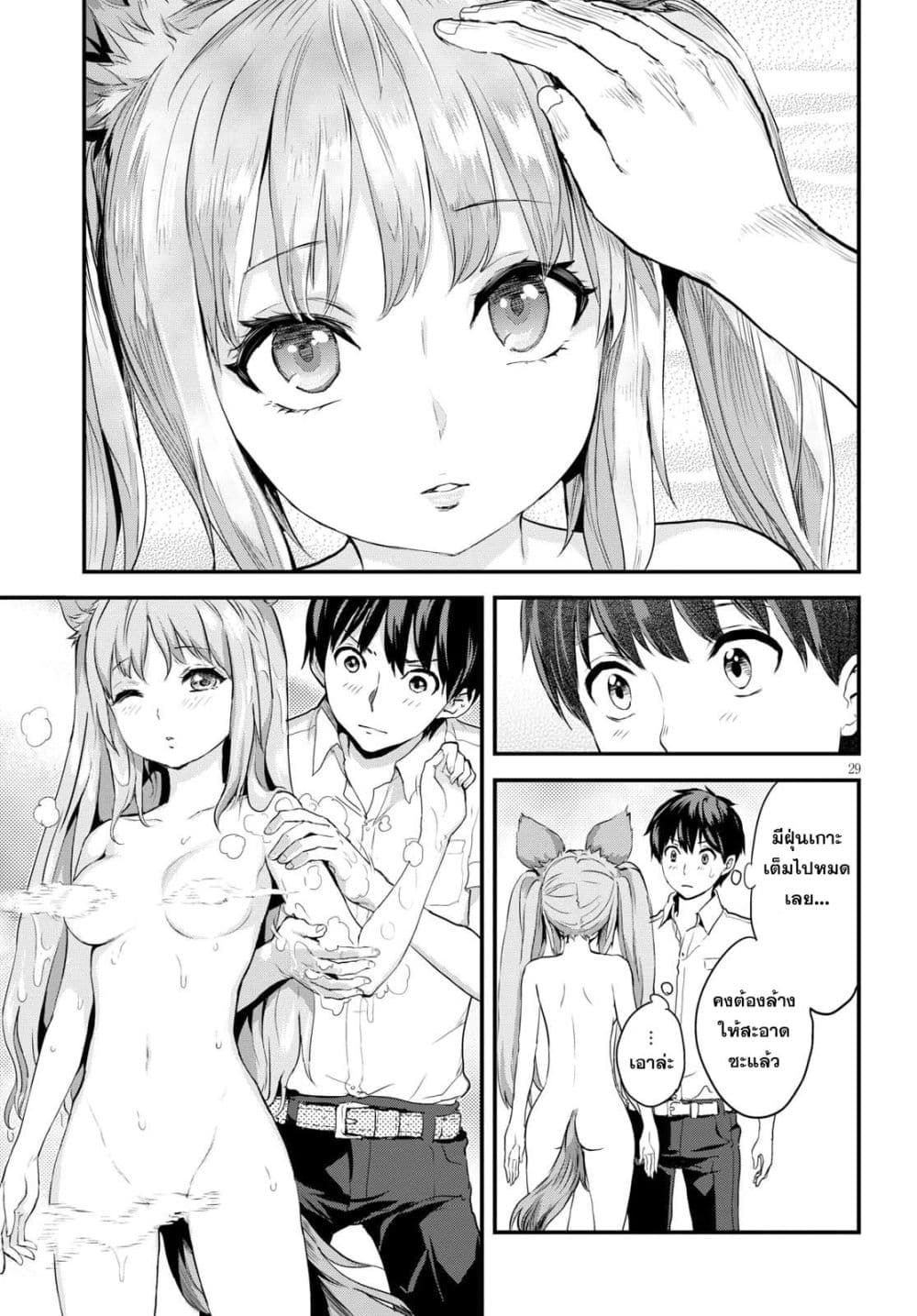 Alcafus page 29