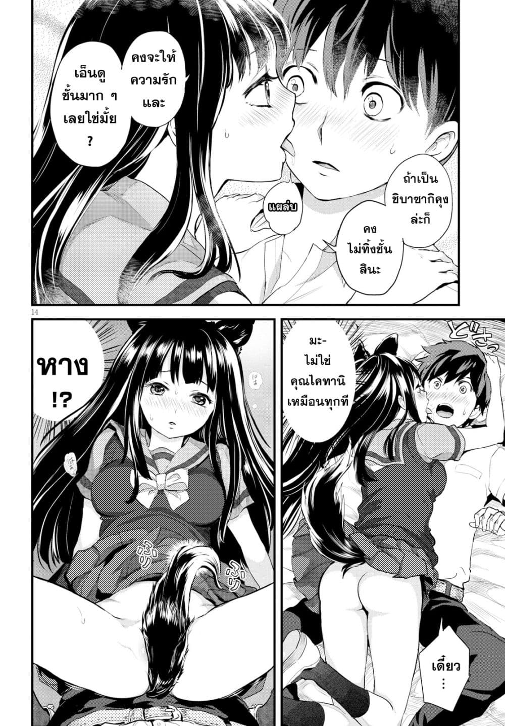Alcafus page 14