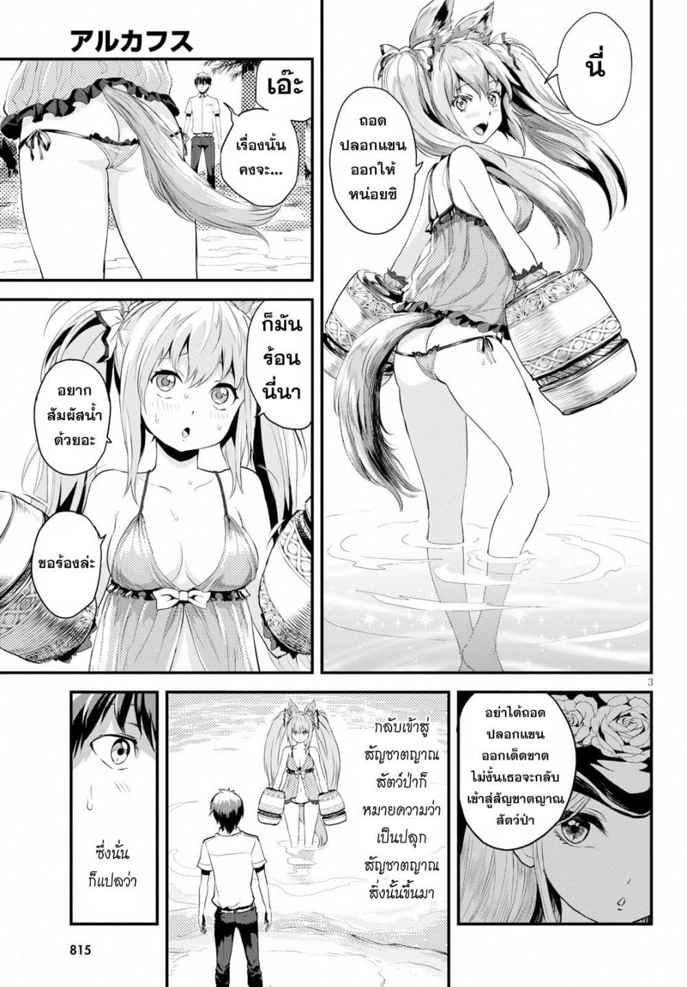 Alcafus page 3
