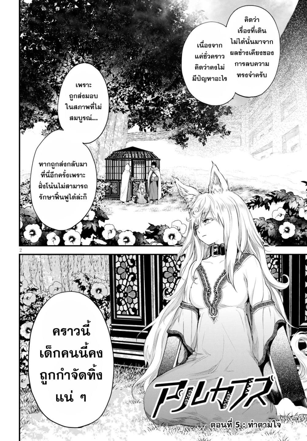 Alcafus page 2