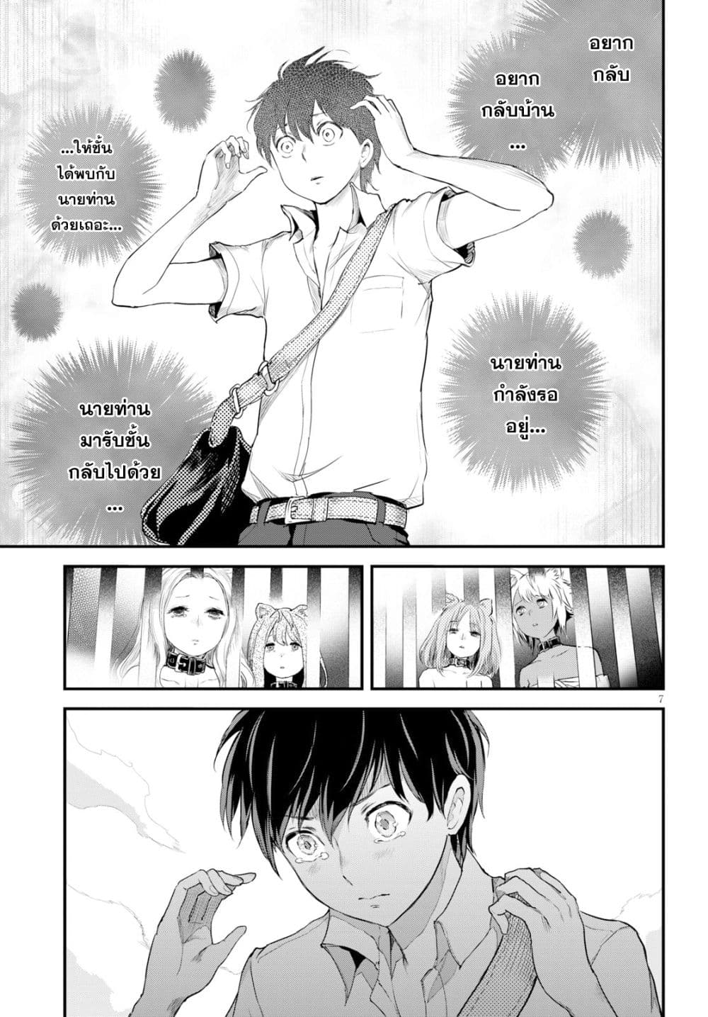 Alcafus page 7