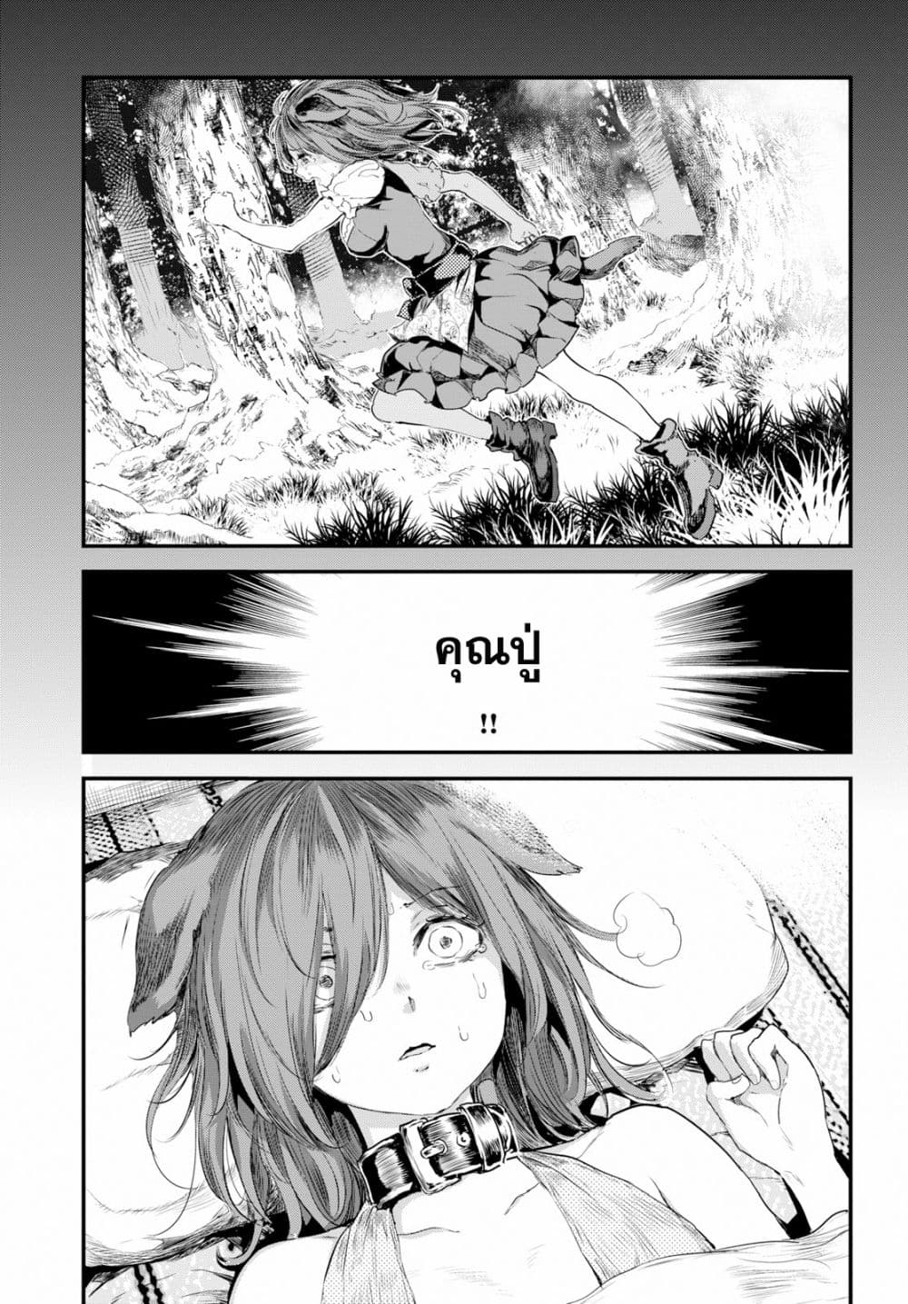 Alcafus page 5