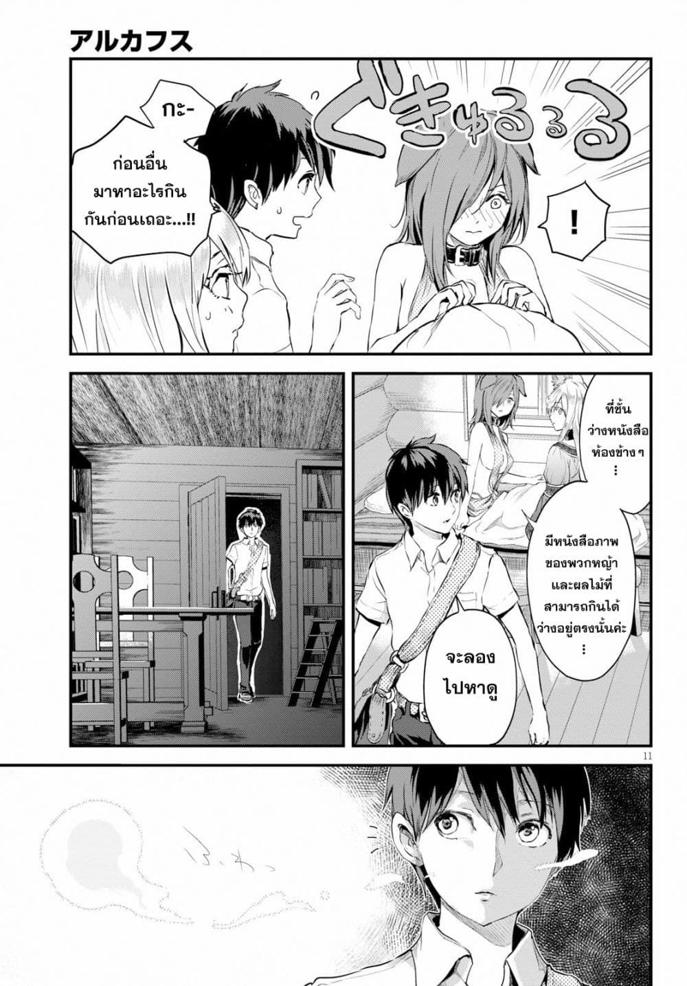 Alcafus page 11