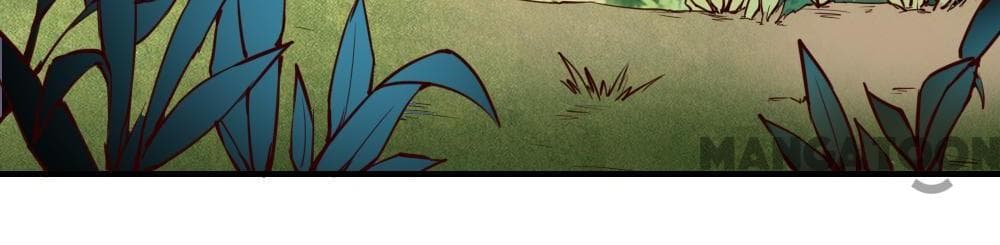 Almight Network page 14