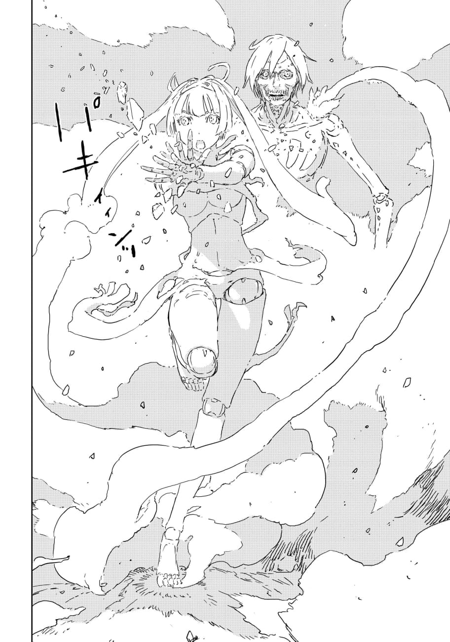 APOSIMZ page 66