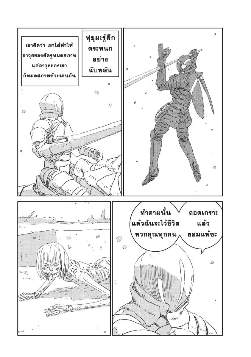 APOSIMZ page 13