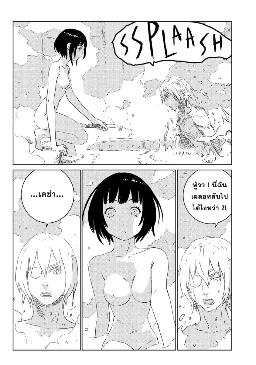 APOSIMZ page 17