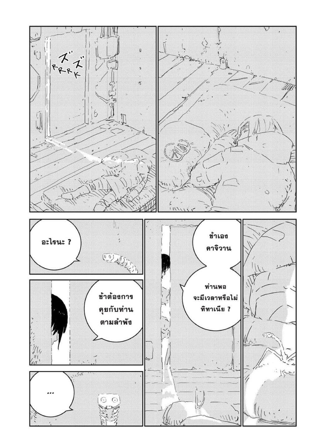APOSIMZ page 13