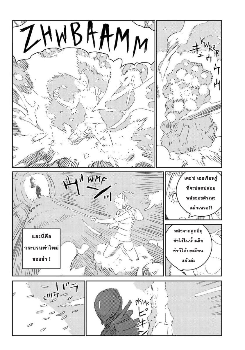 APOSIMZ page 11
