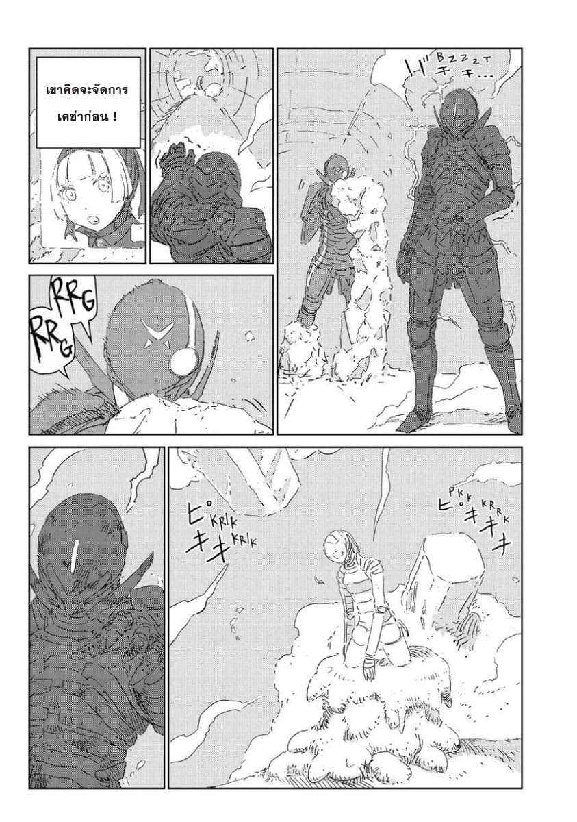 APOSIMZ page 13