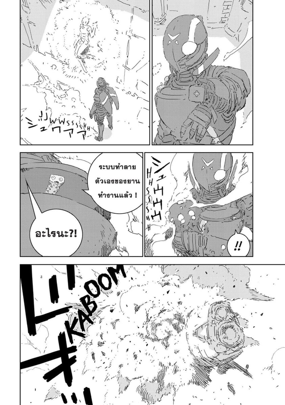 APOSIMZ page 29