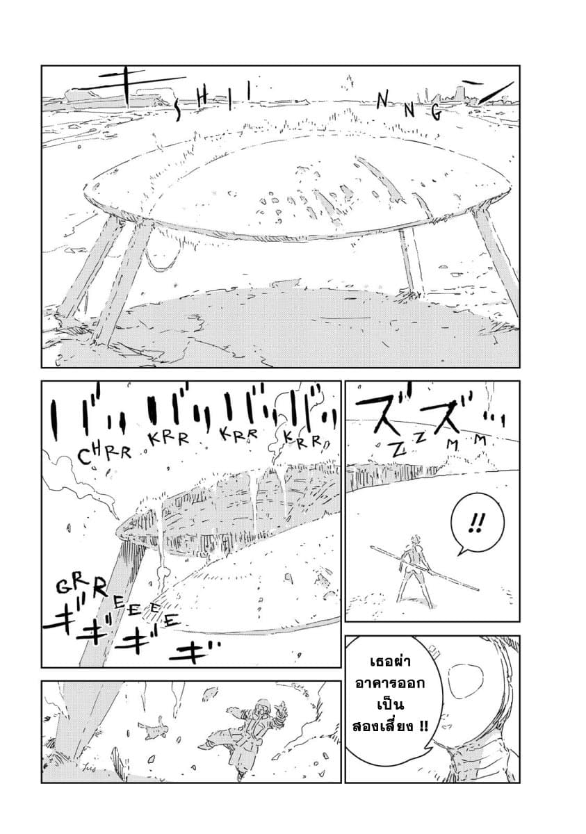 APOSIMZ page 9