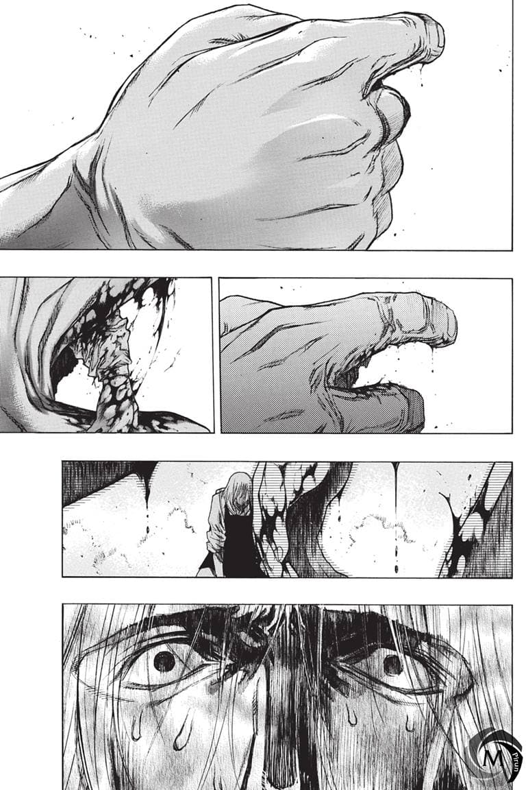 Attack on Titan - Before the Fall page 3