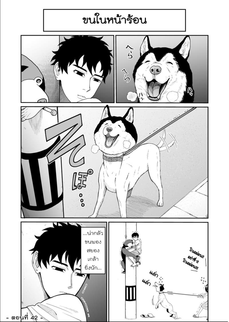 Boku no Malay-Guma page 38