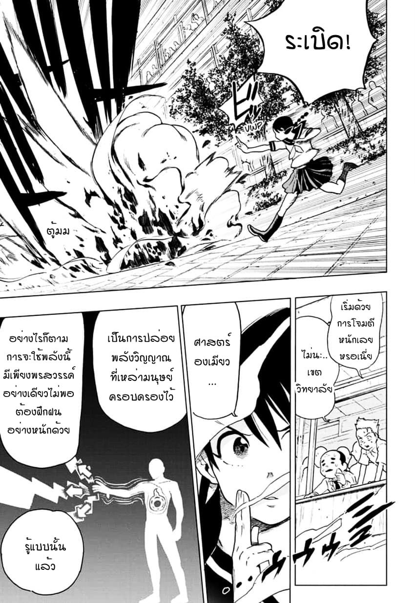 Bone Collection page 11