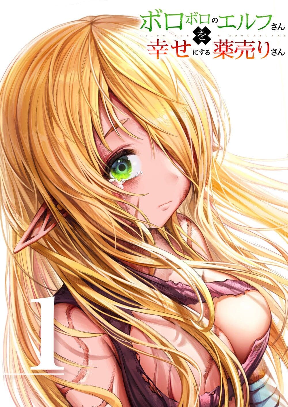Boroboro no Elf-san o shiawaseni suru kusuri uri-san page 5