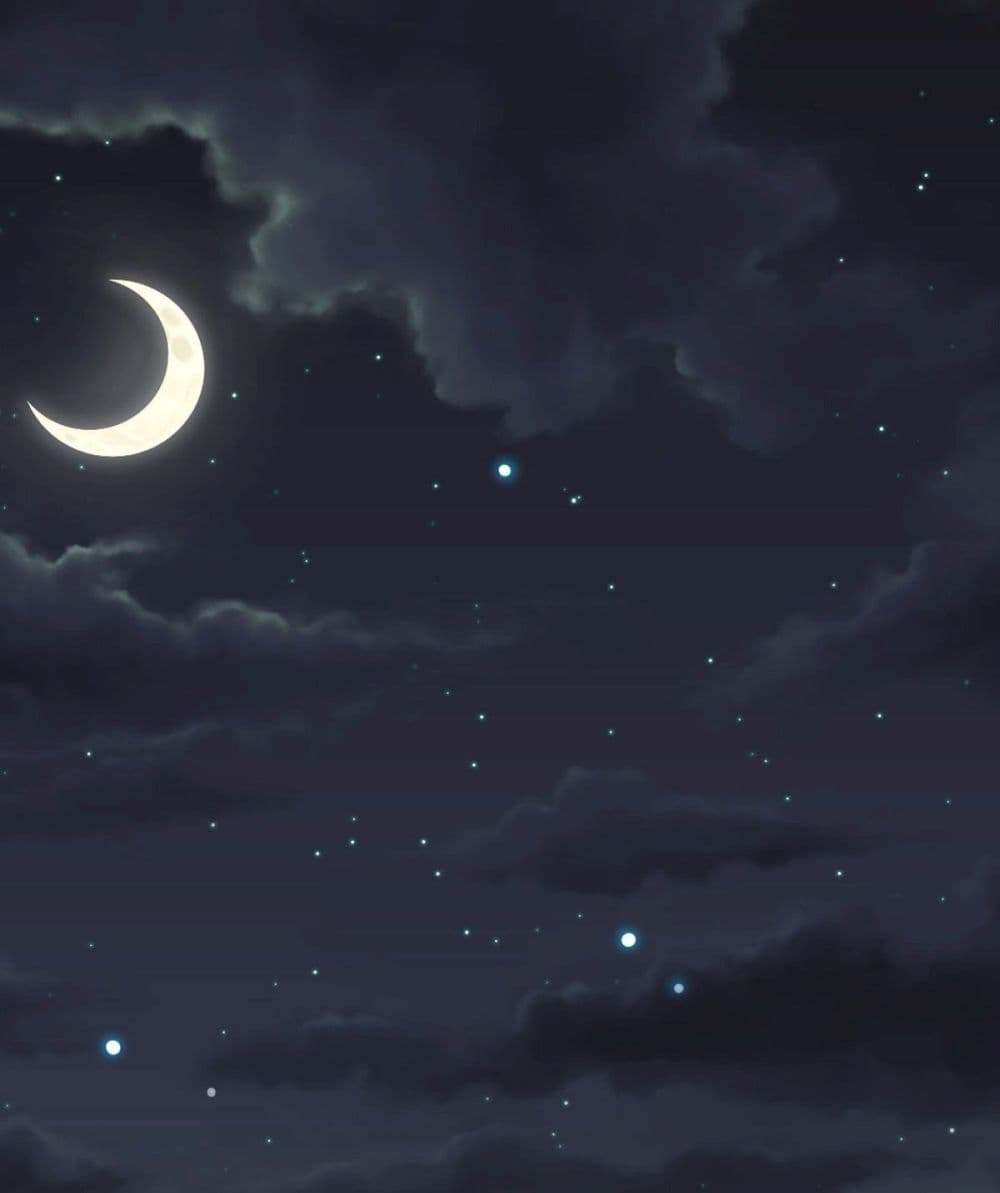 Call me Nemesis page 2
