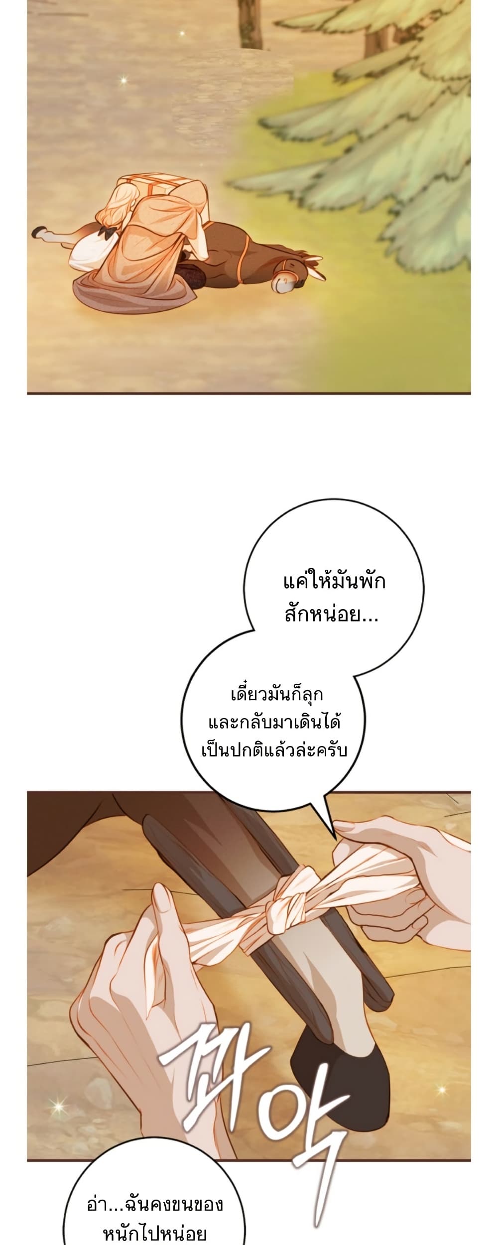 Casnier's Secret Record page 49