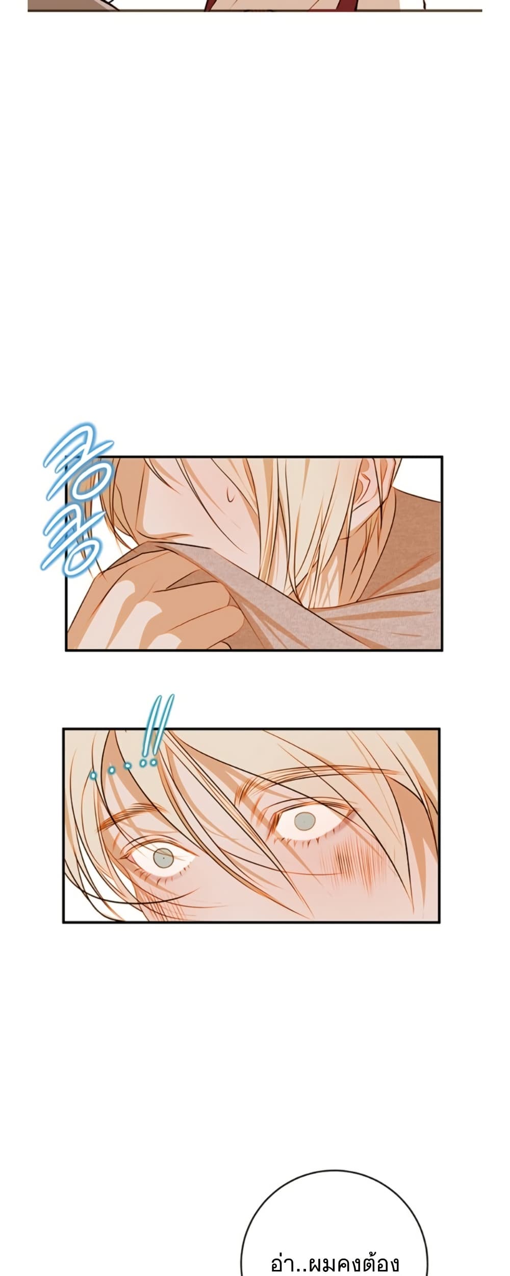 Casnier's Secret Record page 37