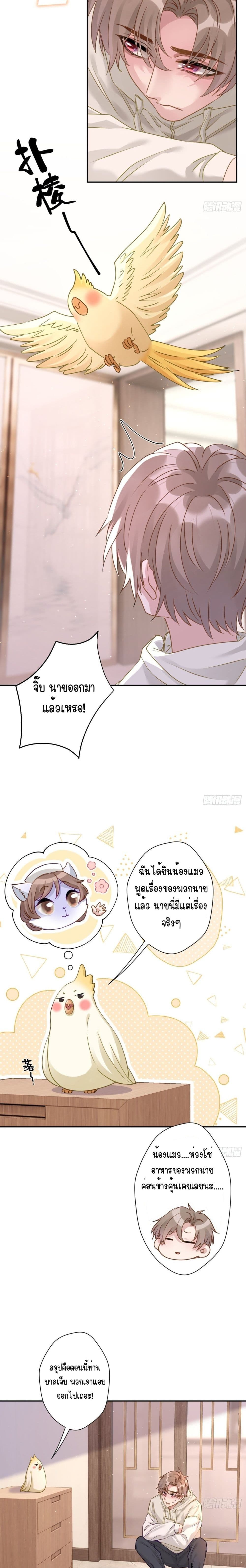 Cat Don't Lick Me page 7