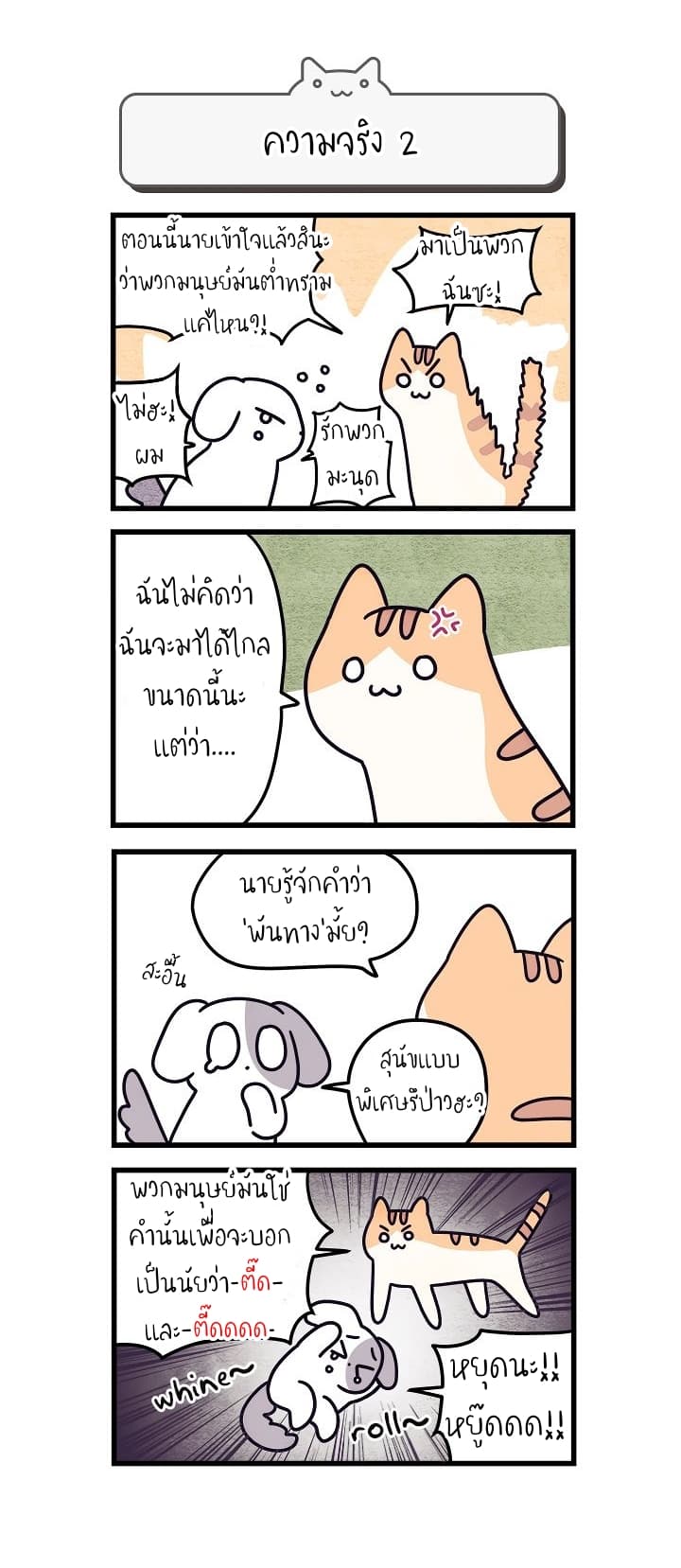 Cats Own The World page 6
