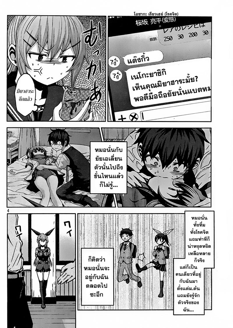 Chikotan, Kowareru page 4