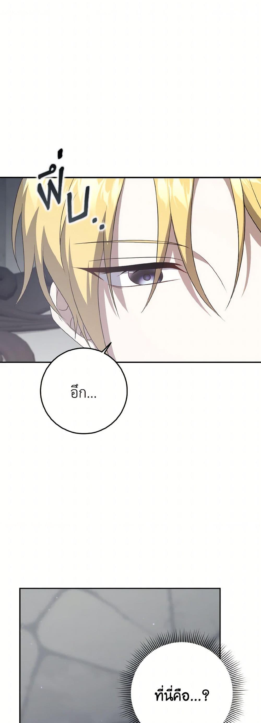Cinderella Disappeared page 42