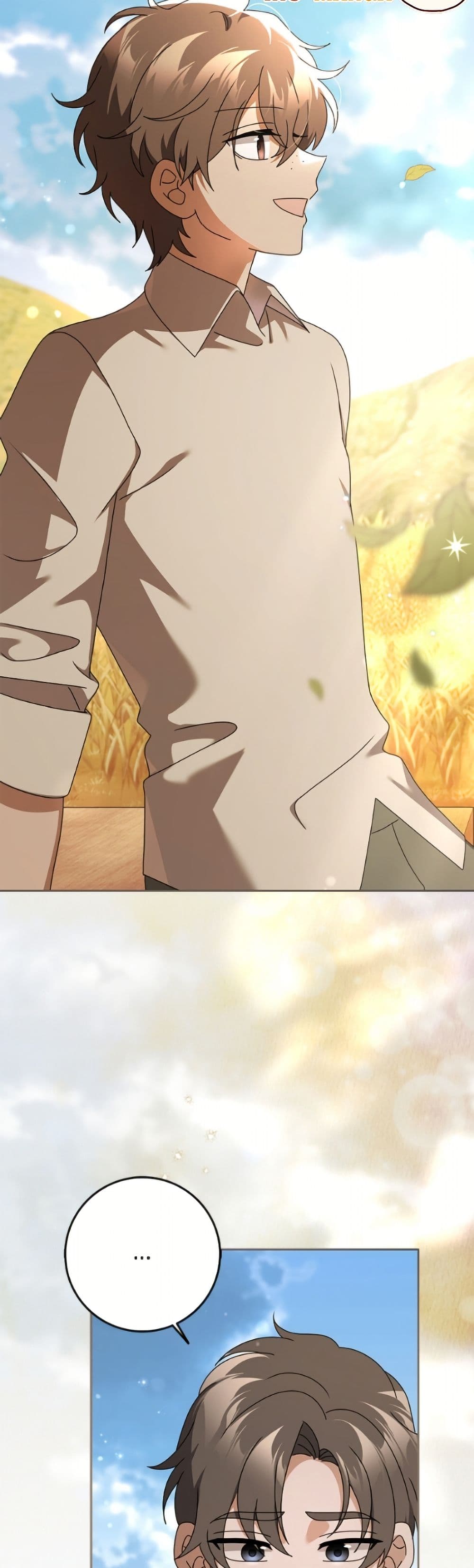 Cinderella Disappeared page 29