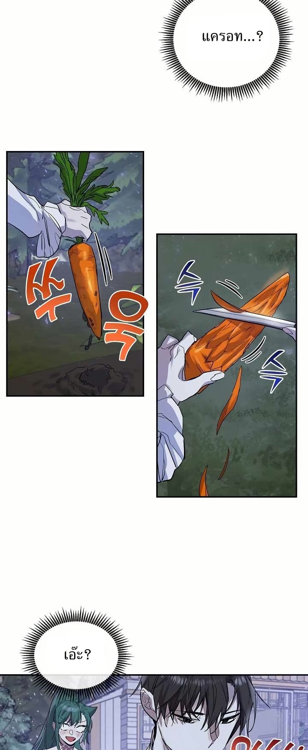 Cooking Wizard page 3