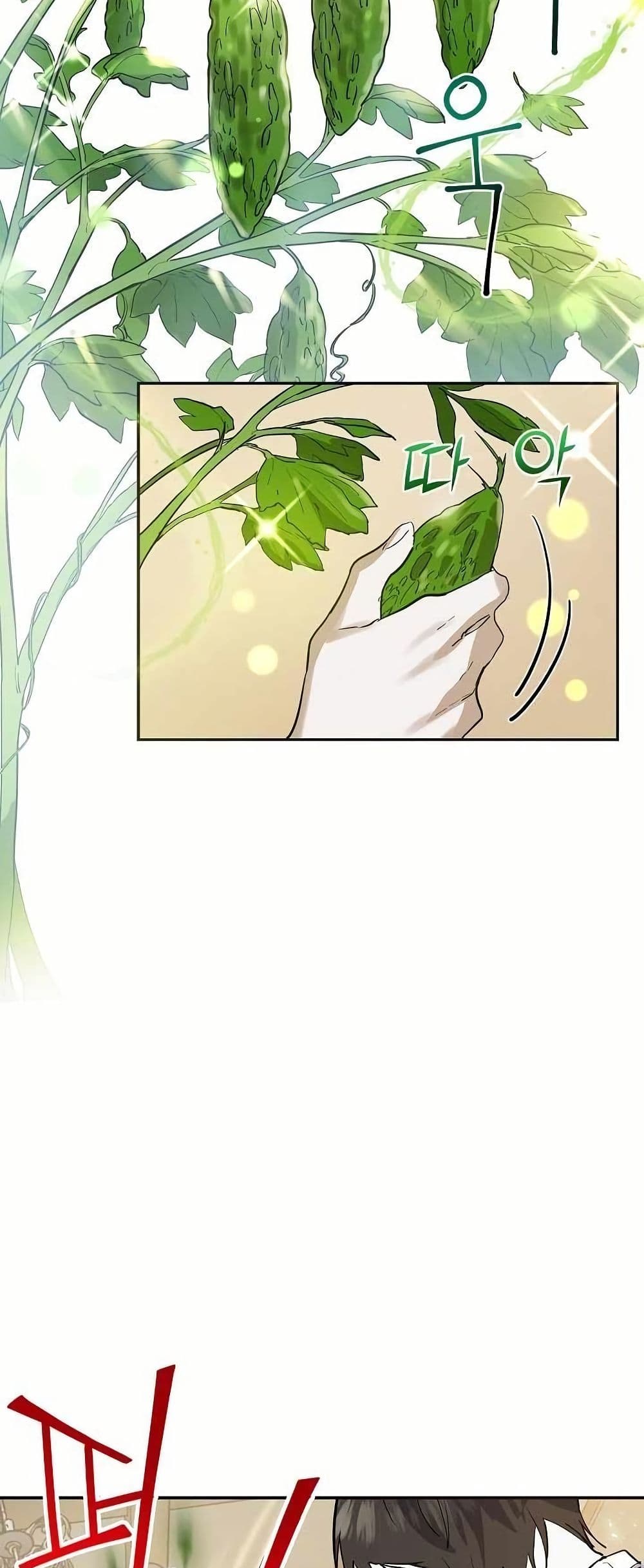 Cooking Wizard page 38