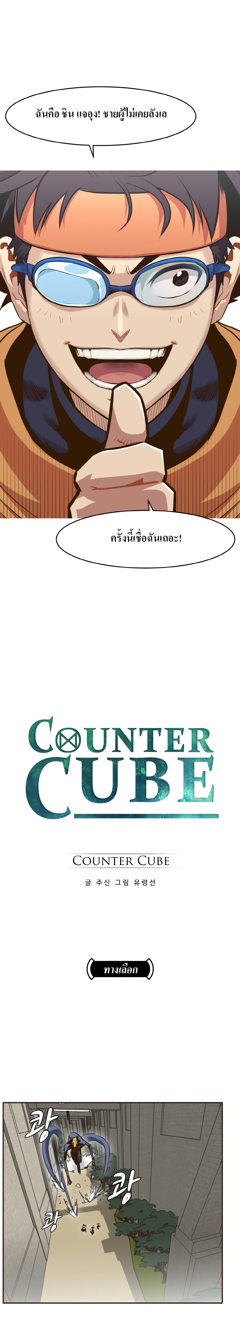 Counter Cube page 18