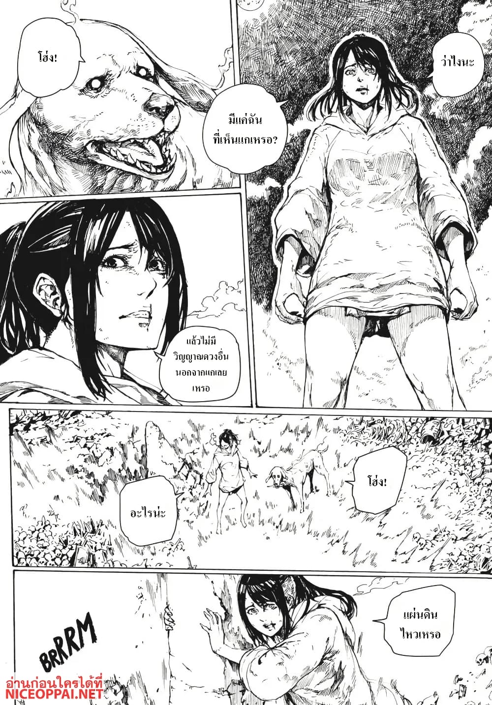 Dark Souls: Redemption page 19