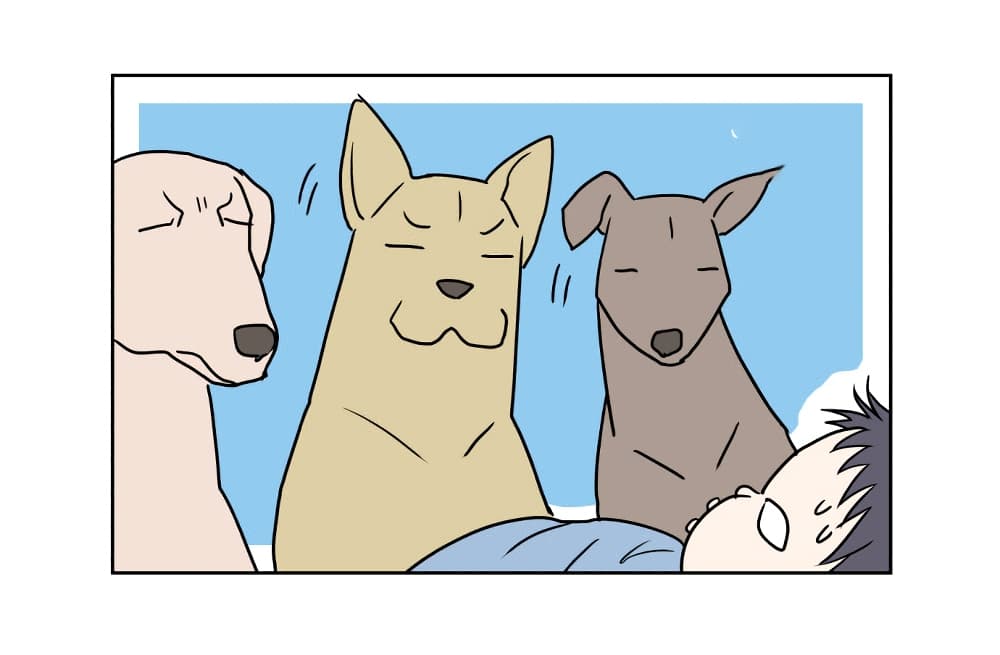 Devil Down Under page 26