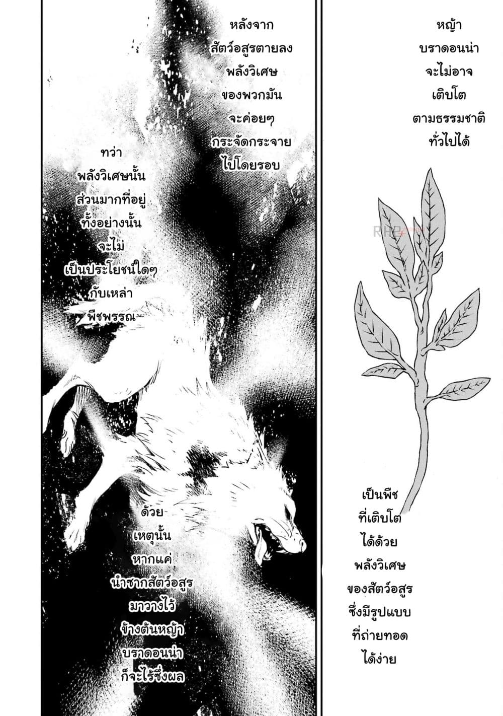 Different World Reincarnation as a Sage แกร่งเกมเกิดใหม่ไร้พ่ายไปเลือกปราชญ์ page 21