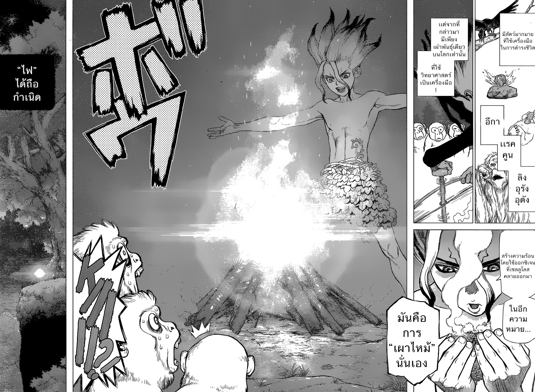 Dr.Stone page 15