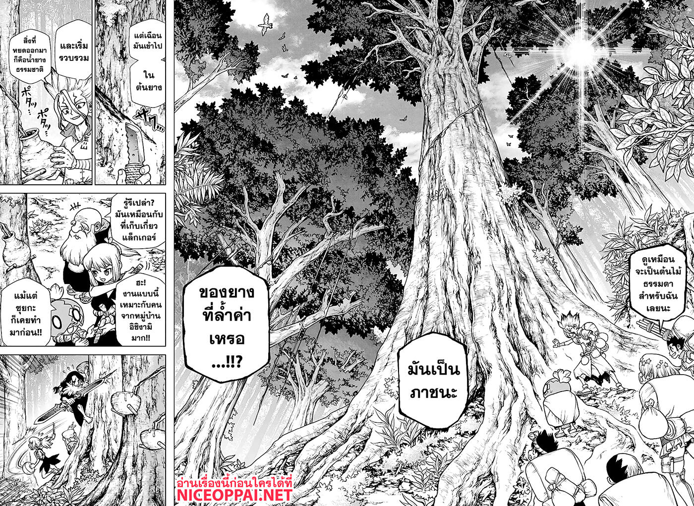 Dr.Stone page 12