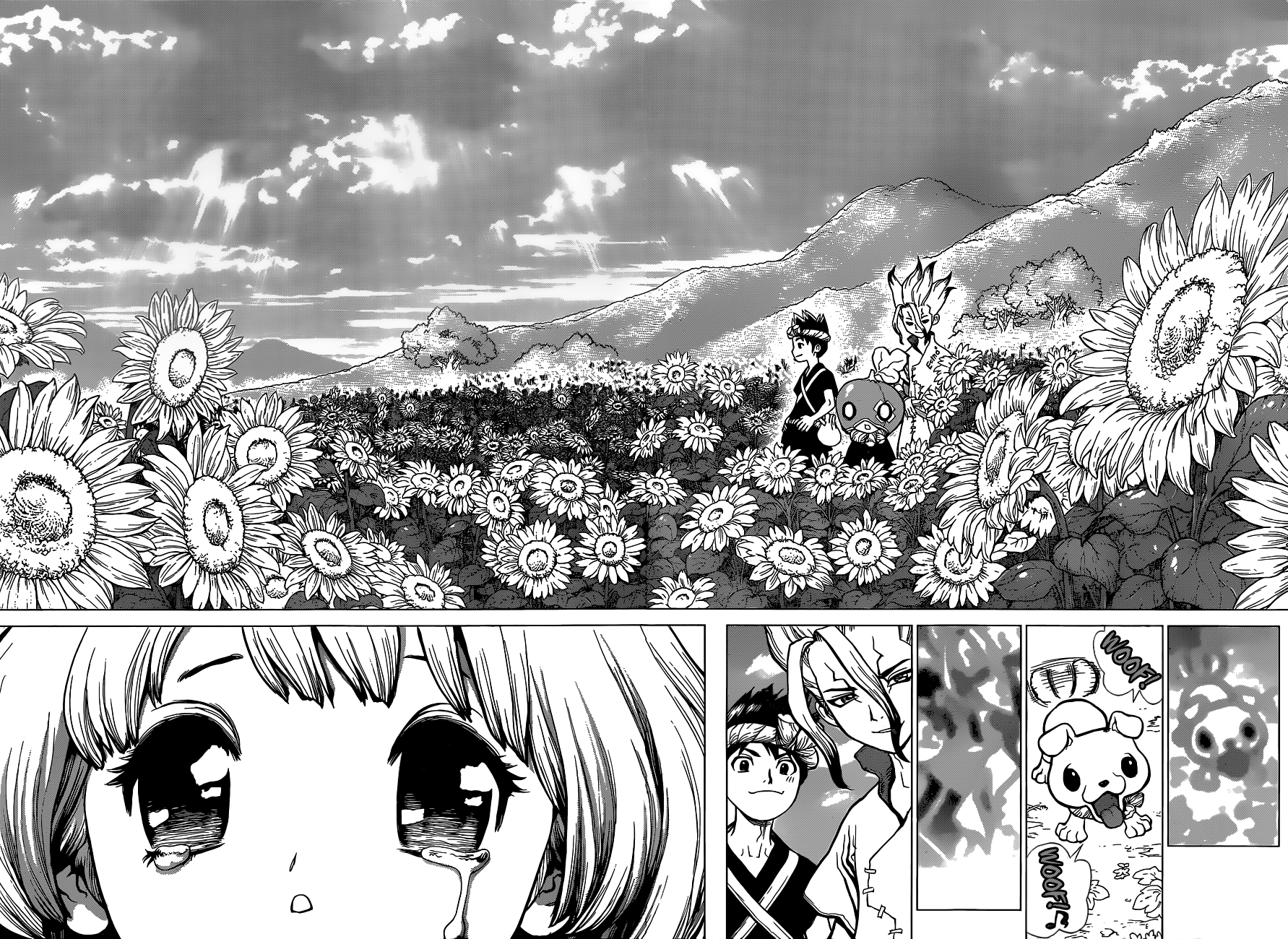 Dr.Stone page 14