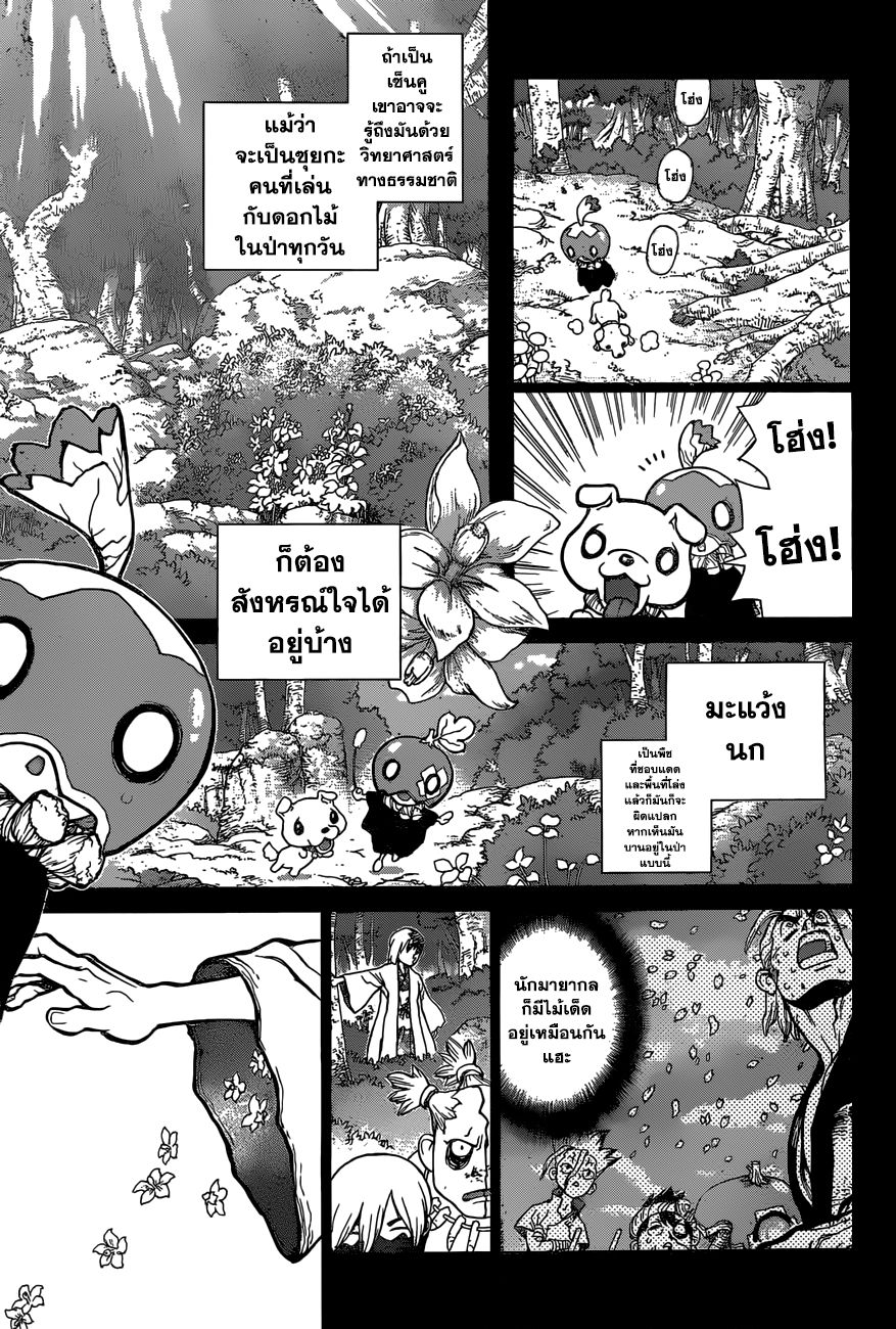 Dr.Stone page 15