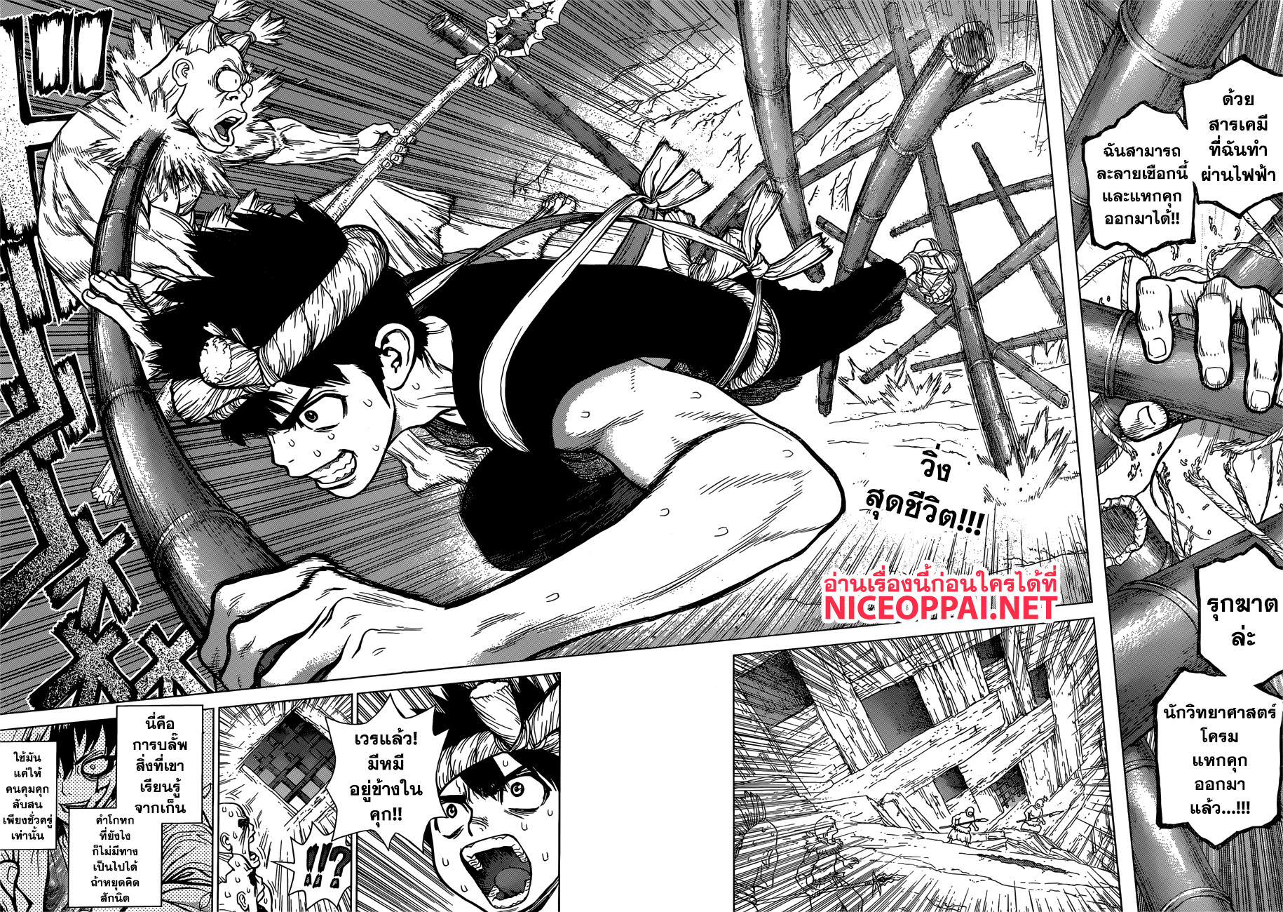 Dr.Stone page 2