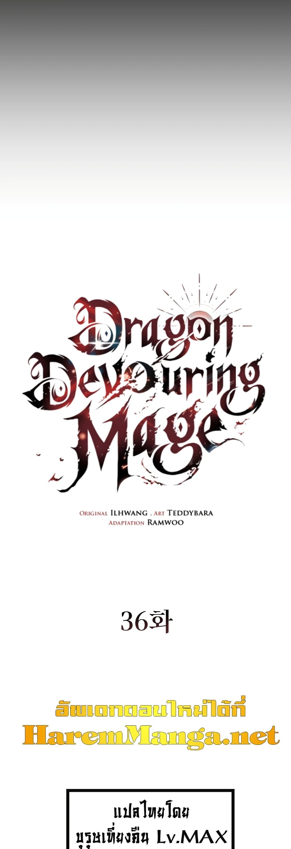 Dragon-Devouring Mage page 13