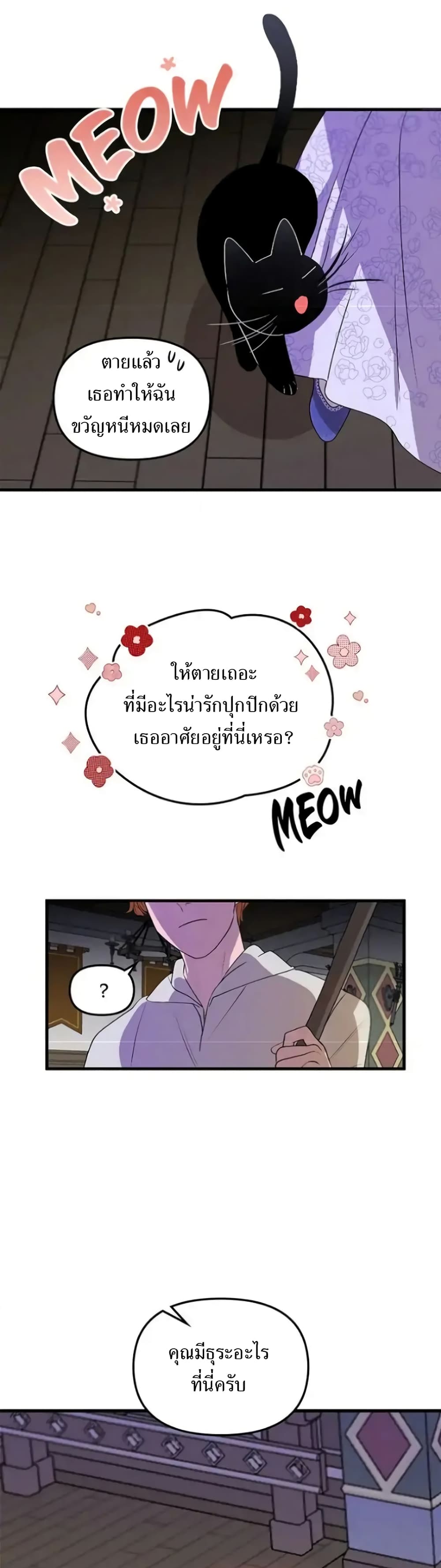 Dragondaily page 37